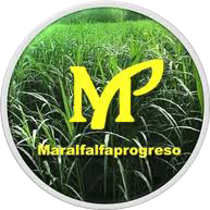 Smaralfalfa Progreso logo